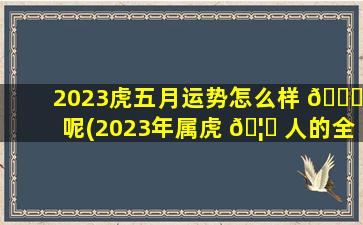 2023虎五月运势怎么样 🐝 呢(2023年属虎 🦉 人的全年每月运势)